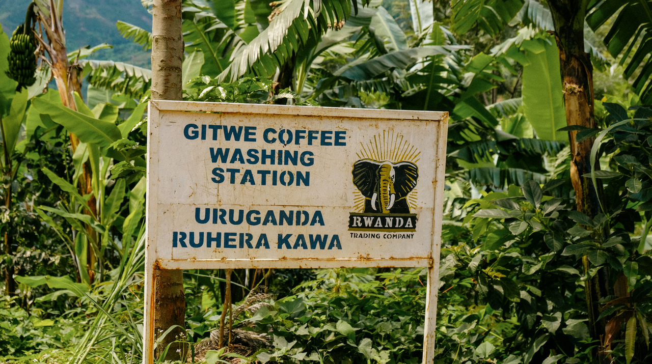 nieuwe single origin: Rwanda Gitwe